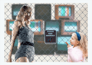 Girl Feeds Taylor Swift A Carrot (MEME)