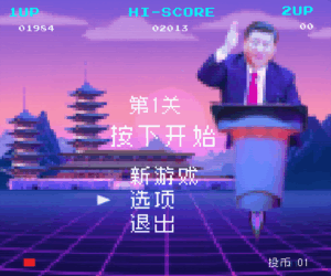 Chinese Edition