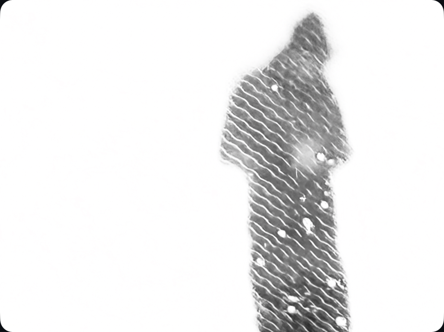 Durch Schnee und Licht